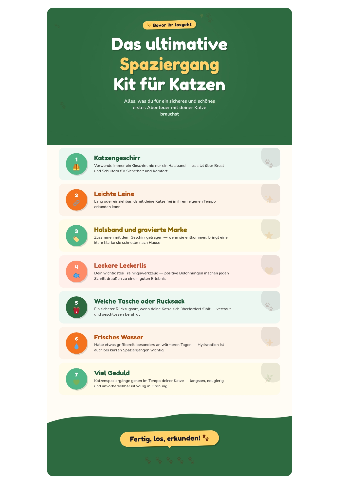 Infografik-Checkliste für den ersten Spaziergang mit der Katze: Geschirr, Leine, Halsband mit Marke, Leckerlis, Transportbox, Wasser und Geduld